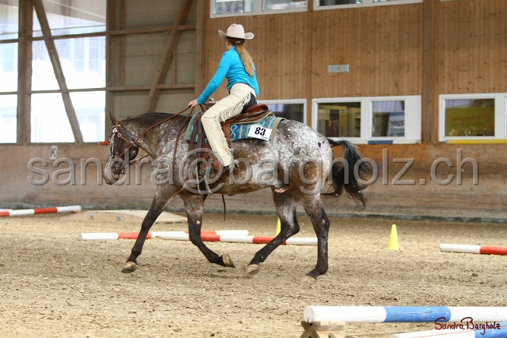 26-ApHC GT_167.jpg